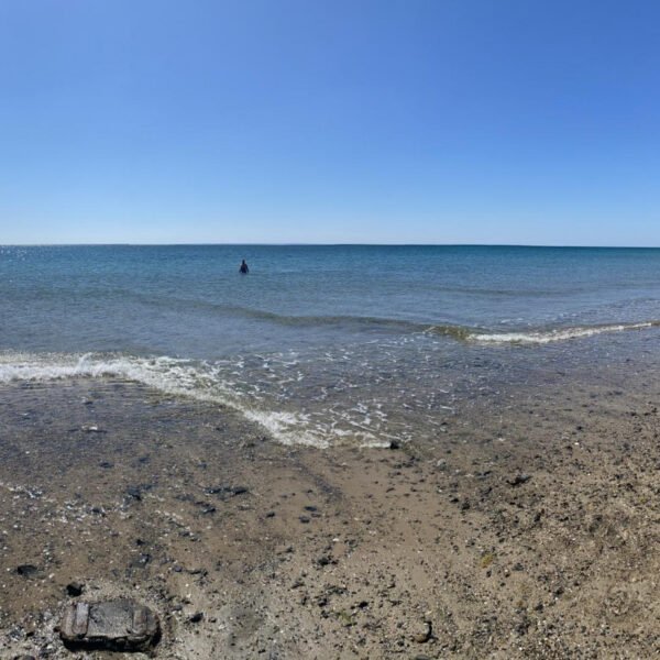 La plage à proximité du Gîte Face au vent à Port-Bail-sur-Mer dans la Manche en Normandie