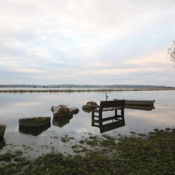 Les marais proche du Gîte Le Vieux Noyer à Liesville-sur-Douve dans la Manche en Normandie