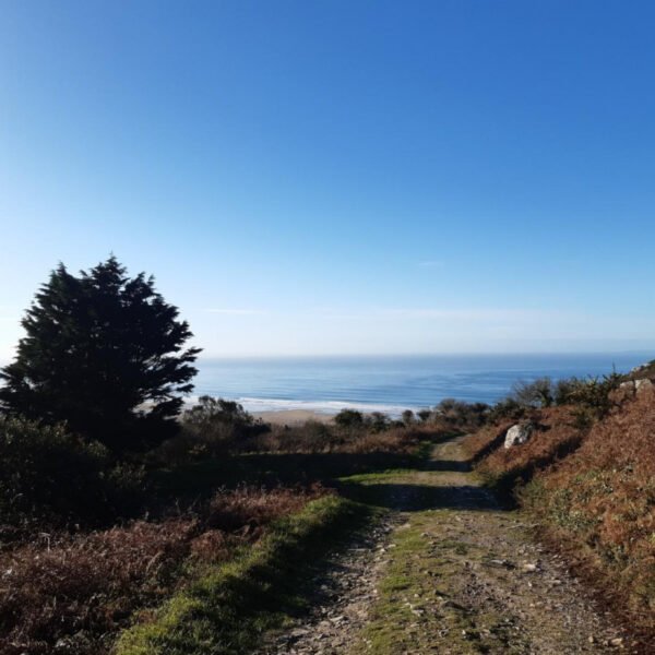 Un plage à proximité de la Chambre d'hôtes à la Ferme de Saint Germain à Saint-Germain-le-Gaillard dans la Manche en Normandie