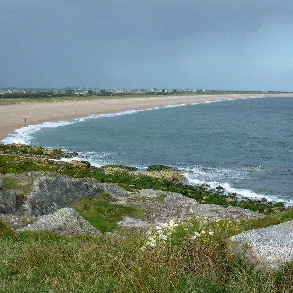 Une plage à proximité du Gîte La Couplière à Vicq-sur-mer dans la Manche en Normandie