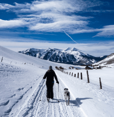 un skieur avec son chien dans la plus belle destination sous la neige en montagne