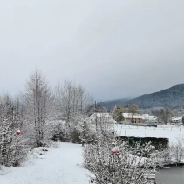 Le lac en hiversdu Gîte La Heckeliere à La Houssière dans les Vosges daas la région Grand Est