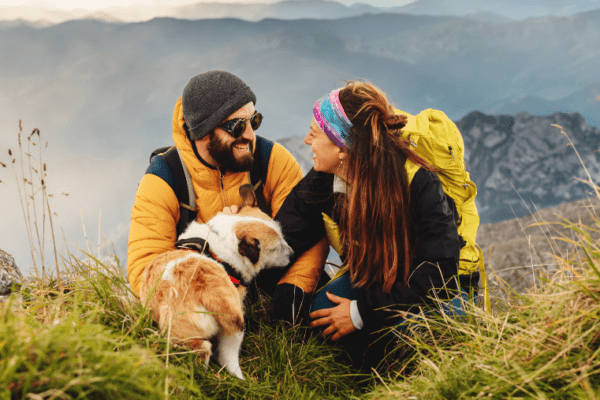 Les essentiels pour partir en roadtrip avec son chien : guide complet pour un voyage réussi