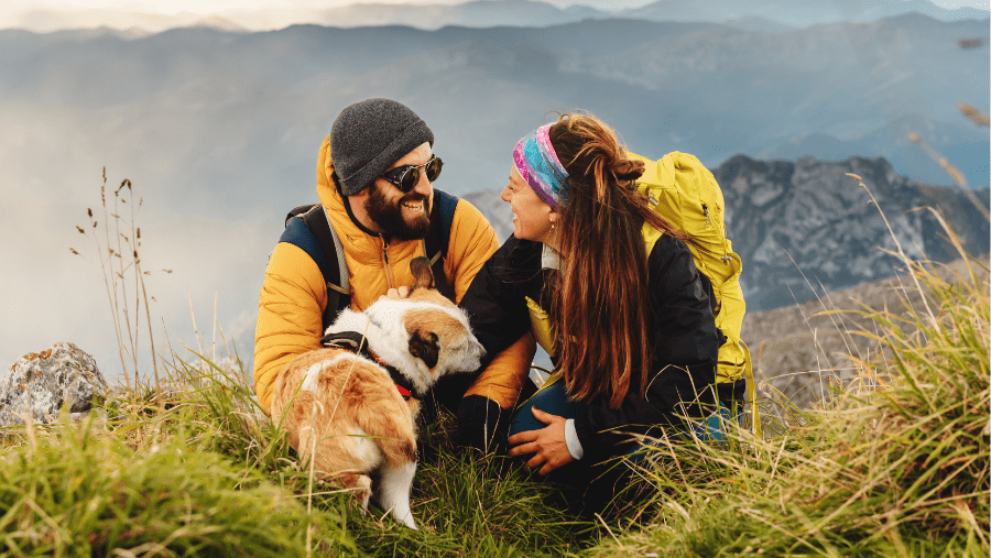 Les essentiels pour partir en roadtrip avec son chien : guide complet pour un voyage réussi