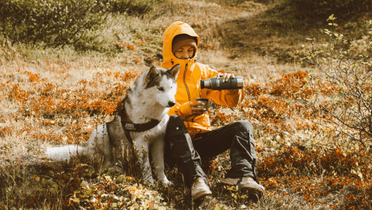 Guide matos spécial road trip avec votre chien