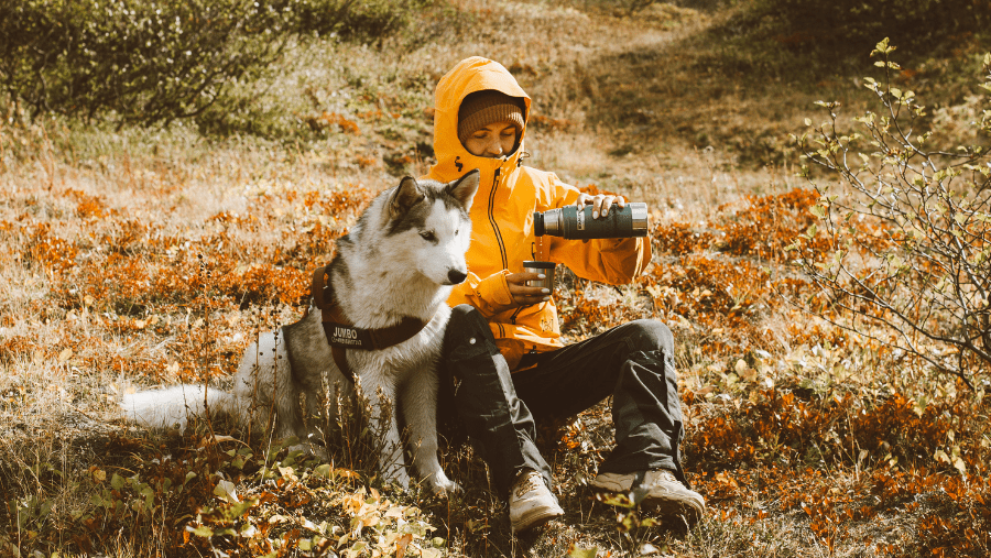 Un randonneur avec son chien husky fait une pause pendant le road-trip avec ses équipements essentiels