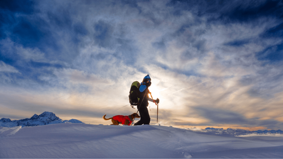 Magnifique tapis de neige où un chien et un humain marchent et s'émerveillent