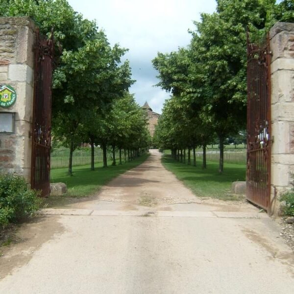 Gites du Domaine de Salornay
