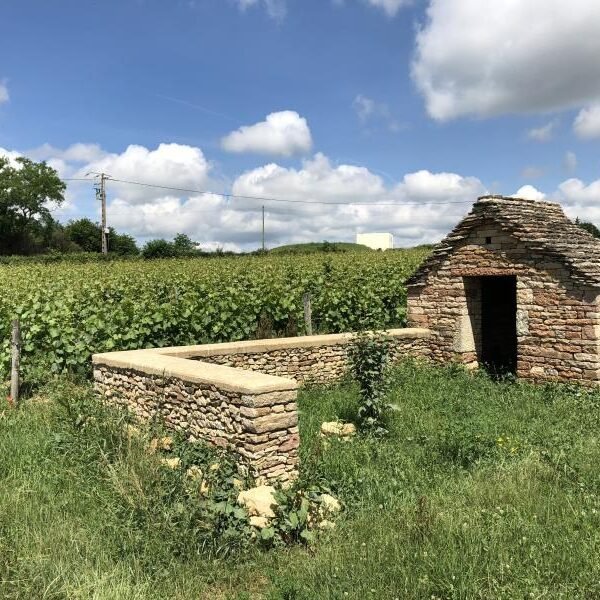 Gites du Domaine de Salornay