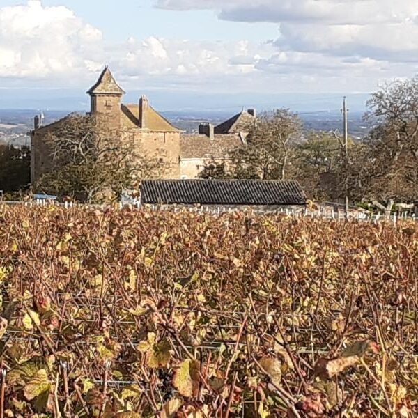 Gites du Domaine de Salornay