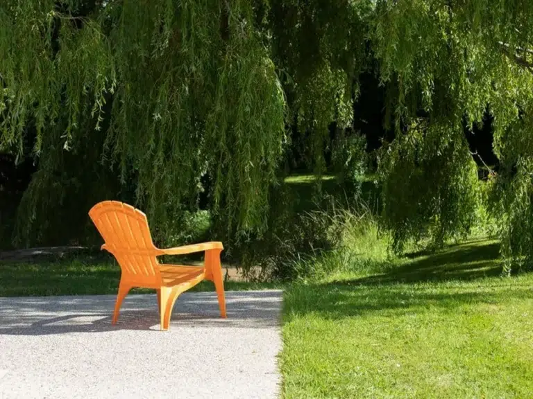 Une chaise de jardin dans le jardin ouvert du Gîte Le Domaine de la Vallée à Saint-Martin-de-Varreville dans la Manche en Normandie