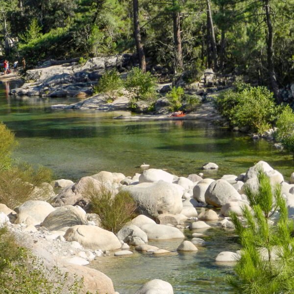 Une rivière à proximité du Camping La Vetta à Porto-Vaccio en Corse-du-Suden Corse