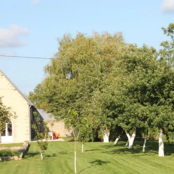 Le jardin ouvert du Gîte Le Domaine de la Vallée à Saint-Martin-de-Varreville dans la Manche en Normandie