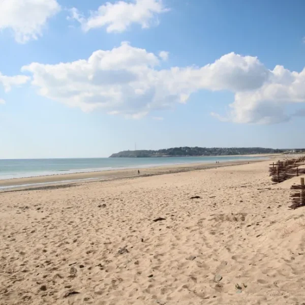 La plage à 200m du Gîte L'abri côtier à Saint-Jean-de-la-rivière dans la Manche en Normandie