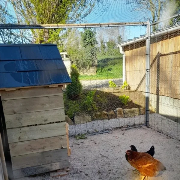 Le poulailler du Gîte La Bignone à Saint-Marcouf dans la Manche en Normandie