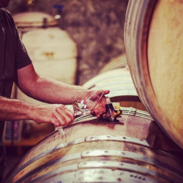 Vinification au Château Capion, Domaine viticole à Aniane dans l'Hérault