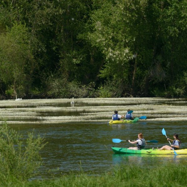 Une ballade en kayak avec Loire Kayak à Vineuil en Loir-et-Cher dans le Centre-Val de Loire