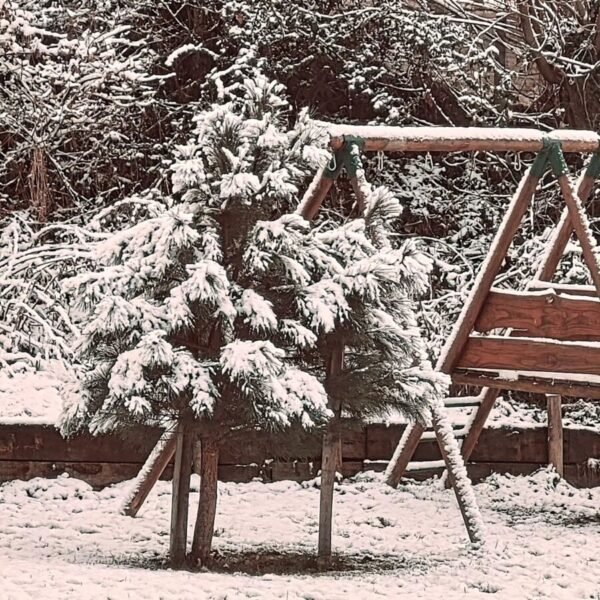 Jardin sous la neige du Gite de L'Oreyi dans le Rhône entre Lyon et St Etienne dans les Monts du Lyonnais