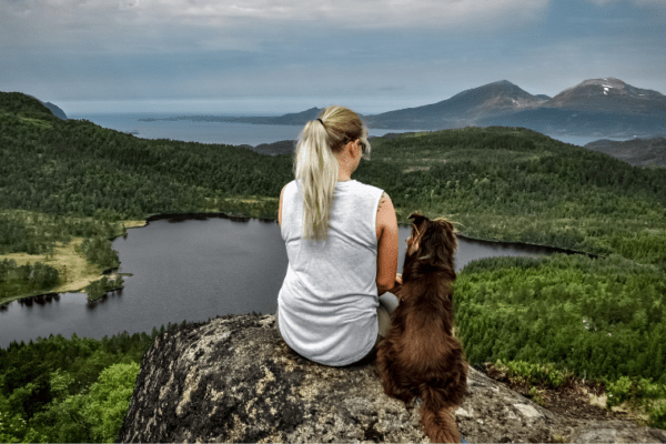 Prendre l’avion avec son chien vers l’Asie