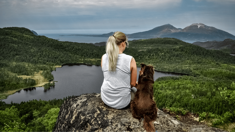 Prendre l’avion avec son chien vers l’Asie