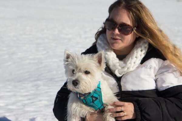 Week-end dans le Sancy en hiver avec son chien