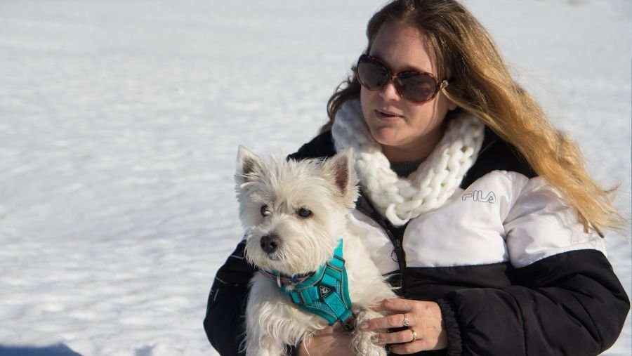 Week-end dans le Sancy en hiver avec son chien