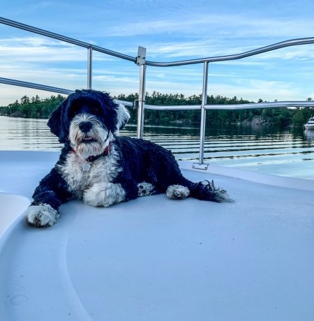 Croisière fluviale en Bretagne  