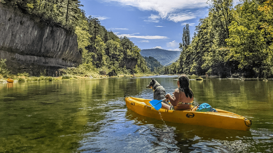 balade en canoë avec un chien sur le Tarn à Millau Grands Causses, adapté aux enfants