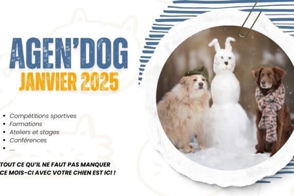 Agen’Dog Janvier 2025