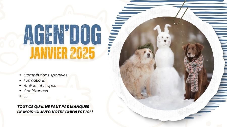 Agen’Dog Janvier 2025