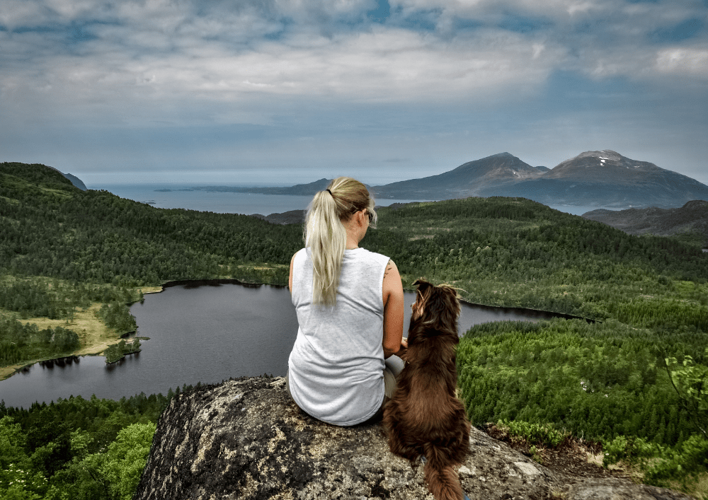 Allez en Asie par avion avec votre chien