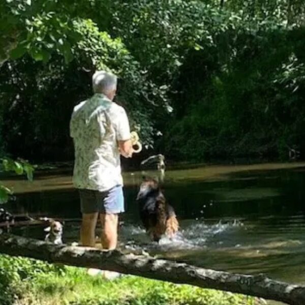 Baignade avec son chien dans la rivière au pied Camping d'Auberoche à Bassilac et Auberoche en Dordogne en Nouvelle-Aquitaine