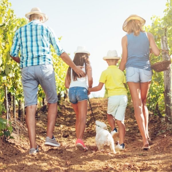 Famille en balade avec leur chien dans les vignes autour du Domaine de Maussac à Villeneuve les Béziers dans l'Hérault en Occitanie