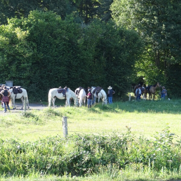 Balade équestre proche des Gîtes des 5 Chemins dans le massif du Sancy dans le Puy de Dôme en Auvergne