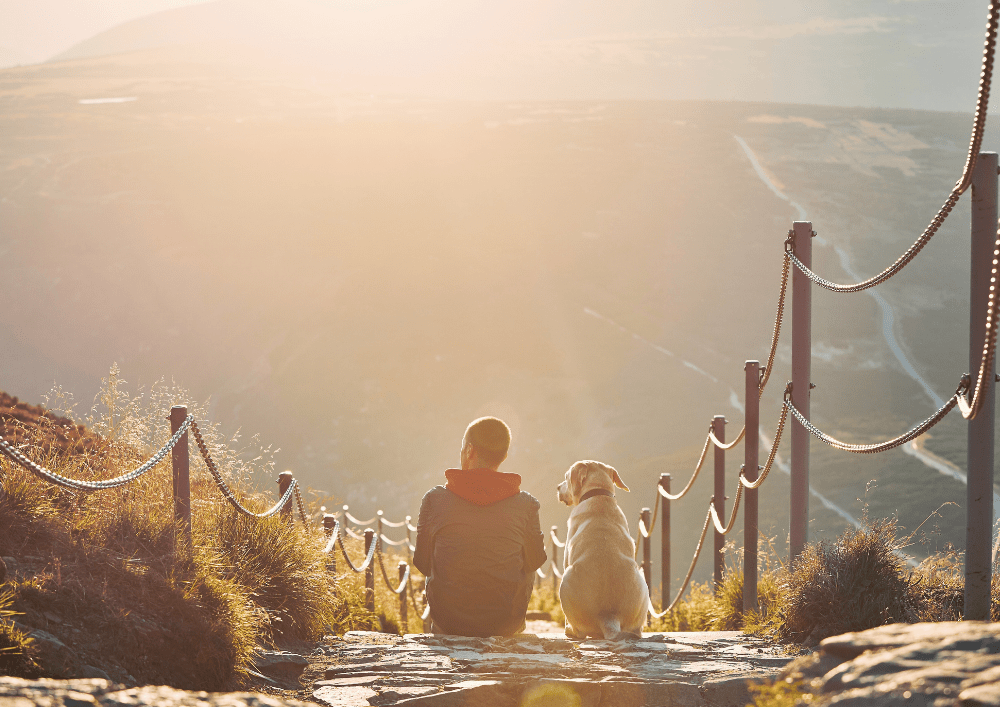 accéder par avion en Amérique avec votre chien et découvrez de sublimes paysages