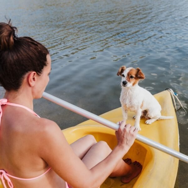 une femme qui fait du canoe avec son chien sur les gorges du tarn