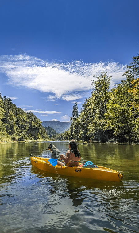 sortie en canoë avec un chien lors de l'itinéraire de vacances à Millau avec des enfants et un chien