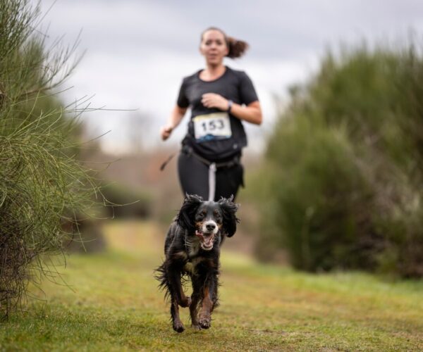 Sports canins : Séjour Heaven Holidays