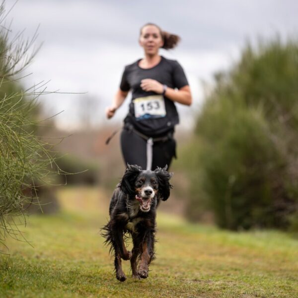 Maitre et chien lors de leurs activités Heaven Holidays séjour 100% chien pour des vacances avec son chien et découvrir les sports canins