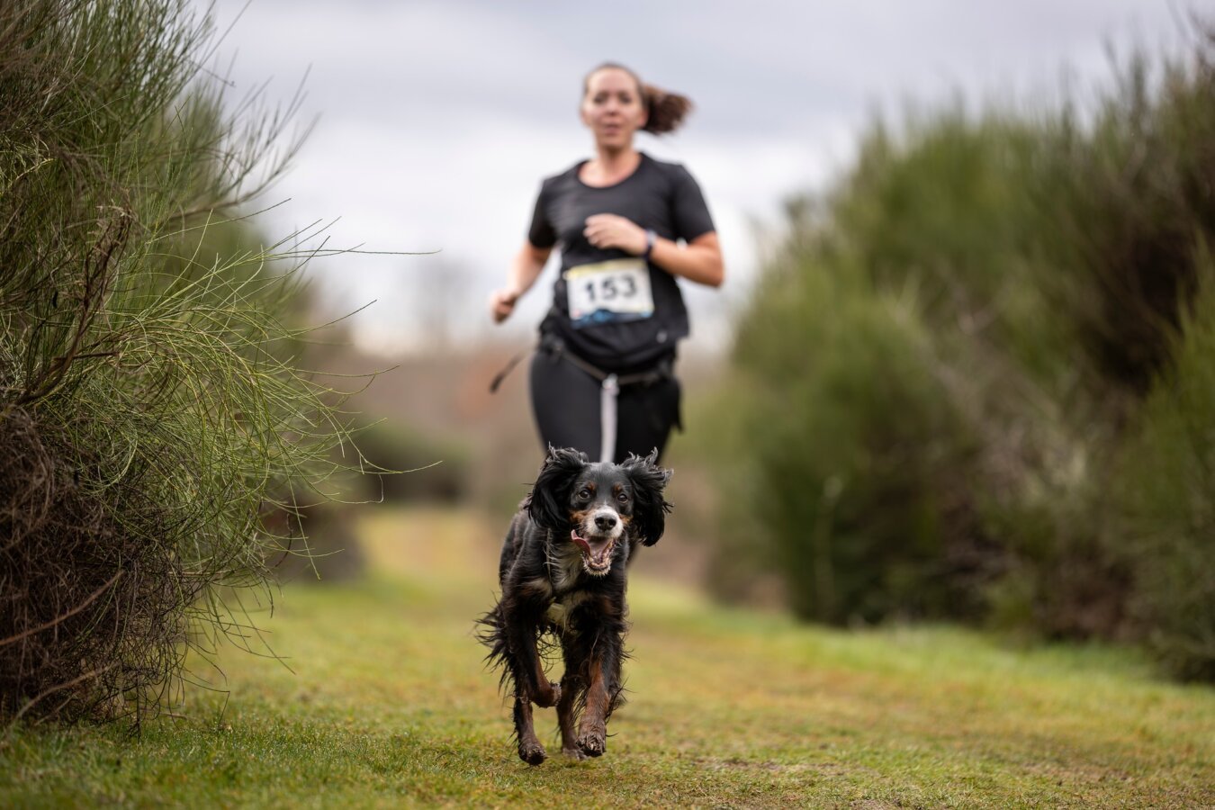 Sports canins : Séjour Heaven Holidays