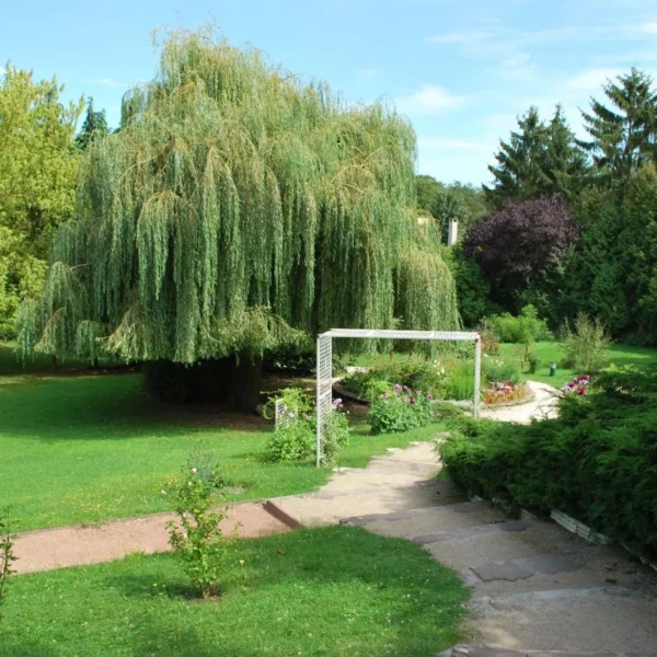 Parc de l'Hôtel Maison Carrée proche de Nancy en Lorraine en Meurthe et Moselle