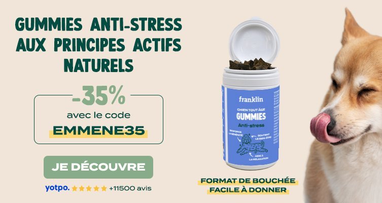 Gummies chien stressé Franklin