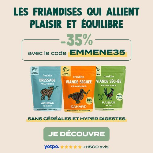 friandises pour chien Franklin