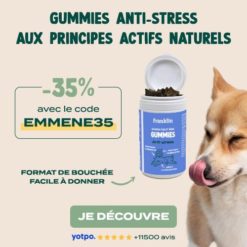 gummiers chien stressé franklin