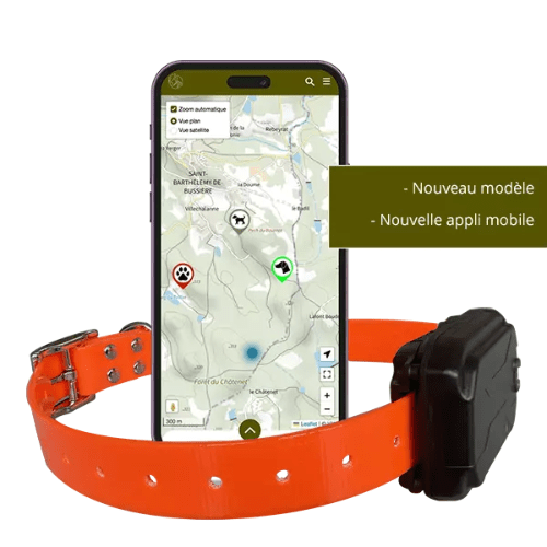 Le collier GPS pour chien est fiable et résistant