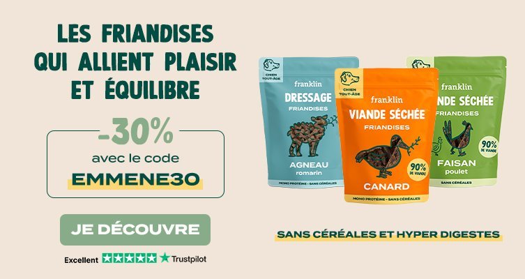 friandises gourmandes pour chien en réduction chez Franklin