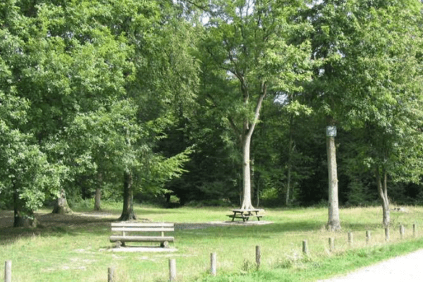 Forêt domaniale de Bord-Louviers