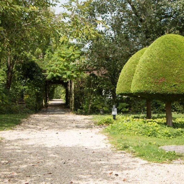 Enorme jardin sécurisée à l'Hôtel Domaine de Bellevue à Neufmoutiers en Brie en Seine et Marne, Île de France