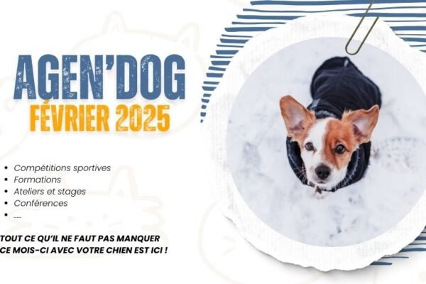 Agen’Dog Février 2025 : Les événements canins à ne pas manquer !