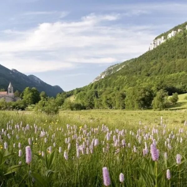 Nature près du Gîte La Vercorelle dans la Drôme dans le Vercors à Léoncel en Rhône Alpes